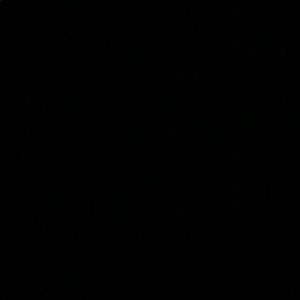 Meet your Posher, Eloise